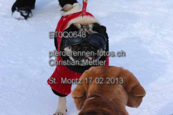 ET0Q0648 prot